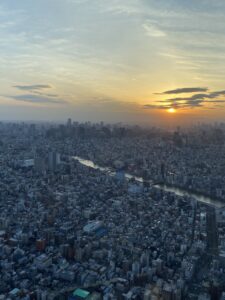 Views from Skytree