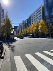 Autumn streets in Tokyo
