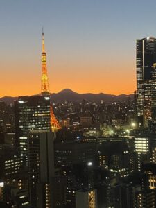 Fuji on the night sky