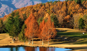 WEGO golf in Autumn